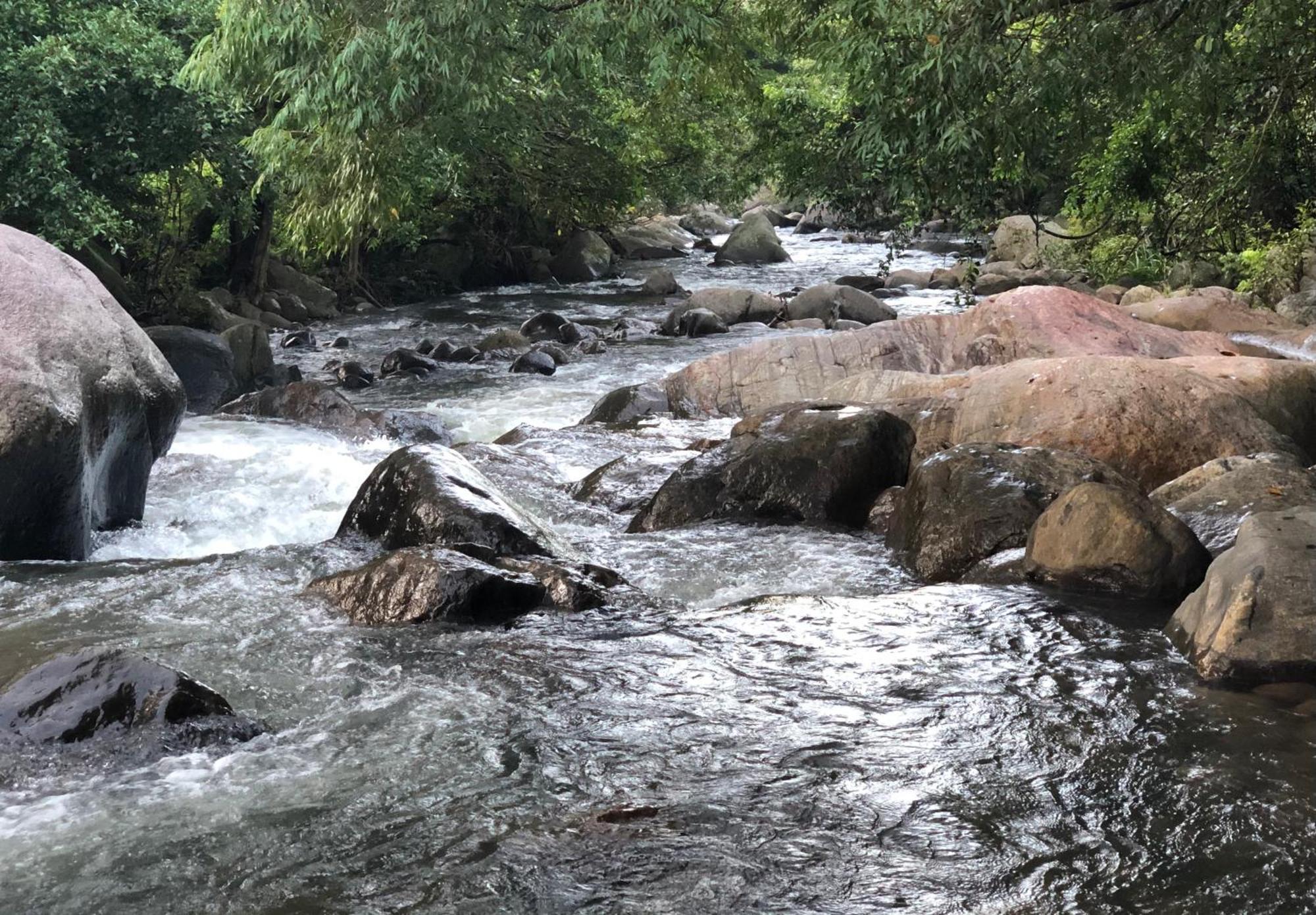 River Garden Resort Belihuloya Bagian luar foto